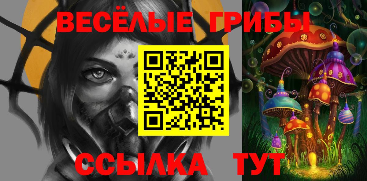 Тихвин  Галлюциногенные грибы мицелий  Галлюциногенные грибы ЛСД  Вход с VPN 