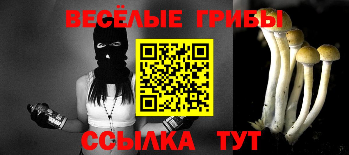 Псилоцибиновые грибы Cubensis Тихвин
